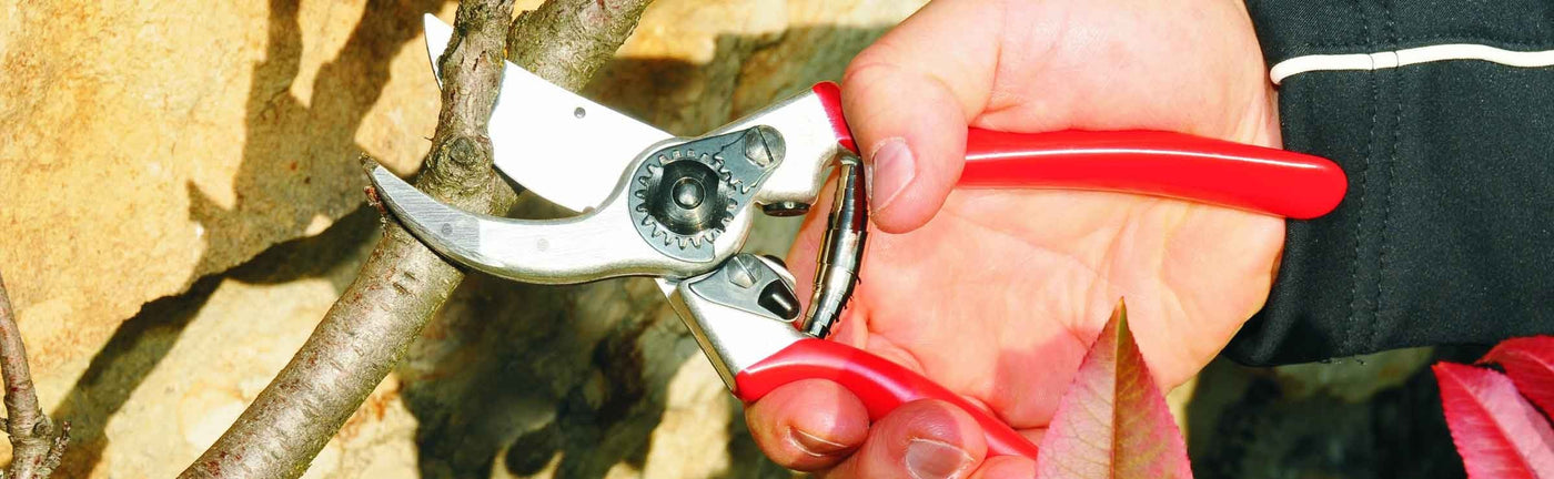 Cutting & Pruning Tools