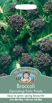 Mr Fothergills Broccoli (Sprouting) Early Purple
