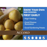 Accord First Early 2kg