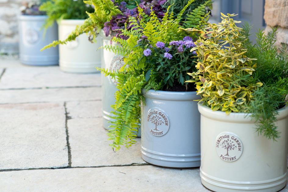 garden heritage plant pots