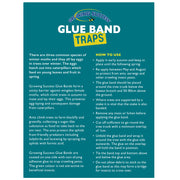 Glue Band Traps