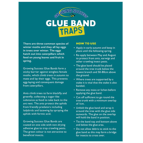 Glue Band Traps
