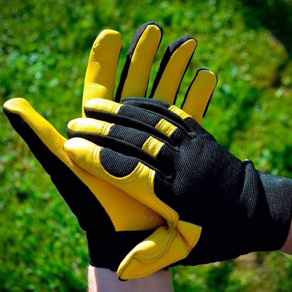 RHS Gold Leaf Gloves