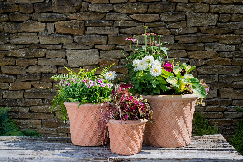 Outdoor Pots & Troughs