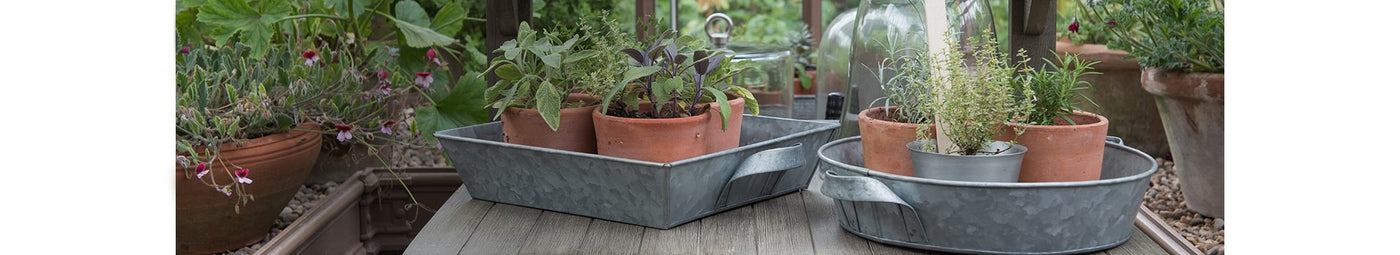 Grow Pots & Trays