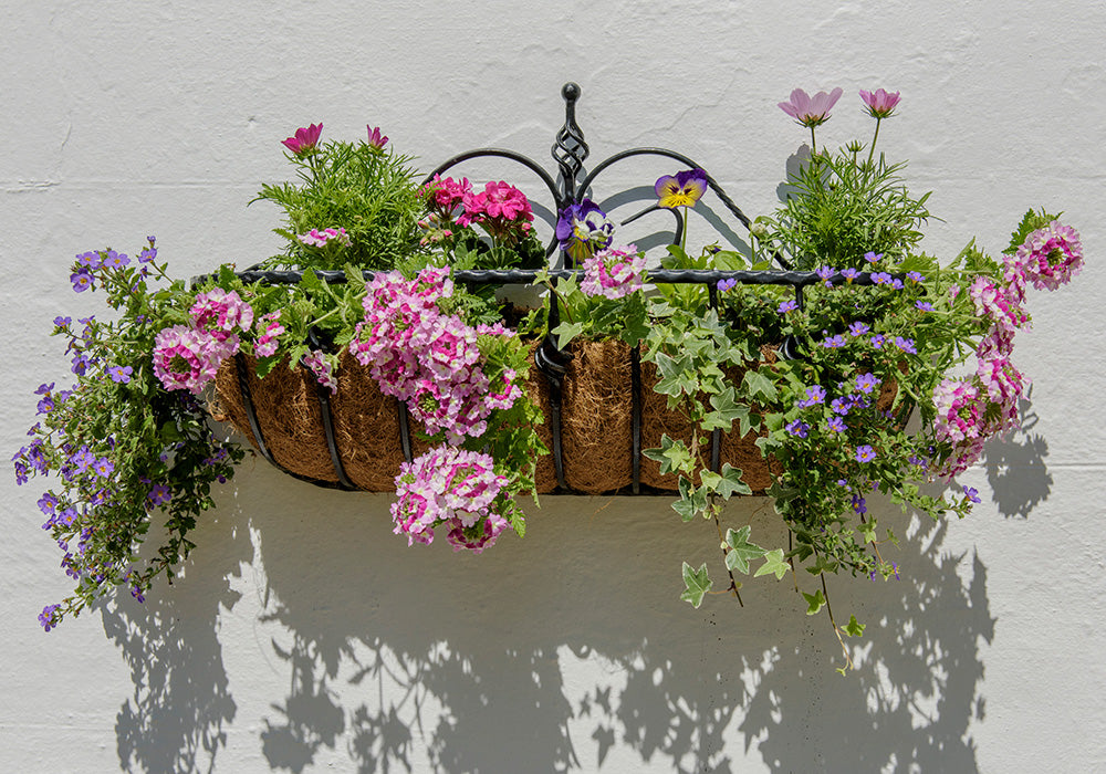 Hanging Baskets & Accessories