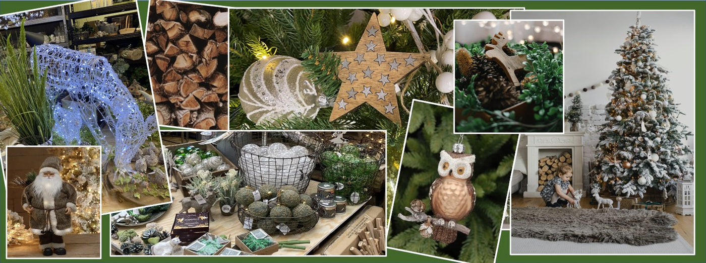 Winter Woodland