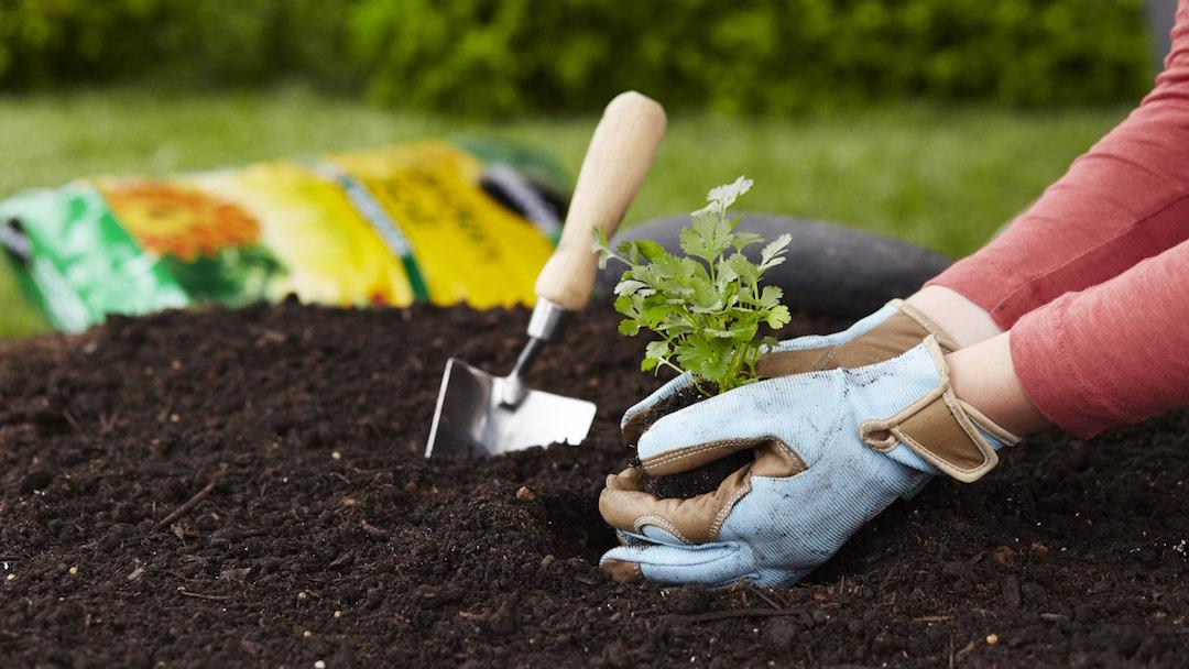 Compost, Bark & Topsoil