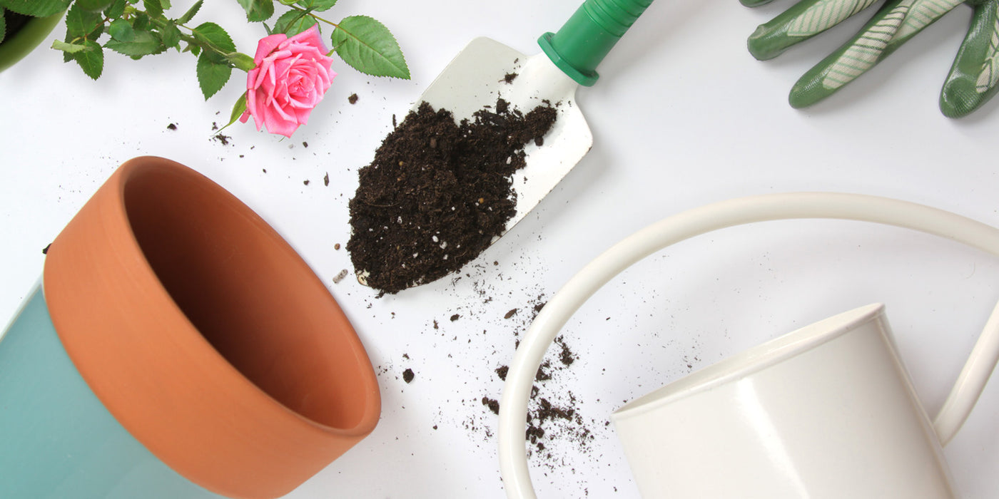 Indoor Plant Compost