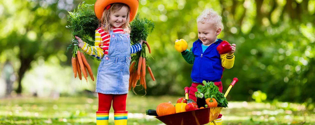 Kid's Gardening