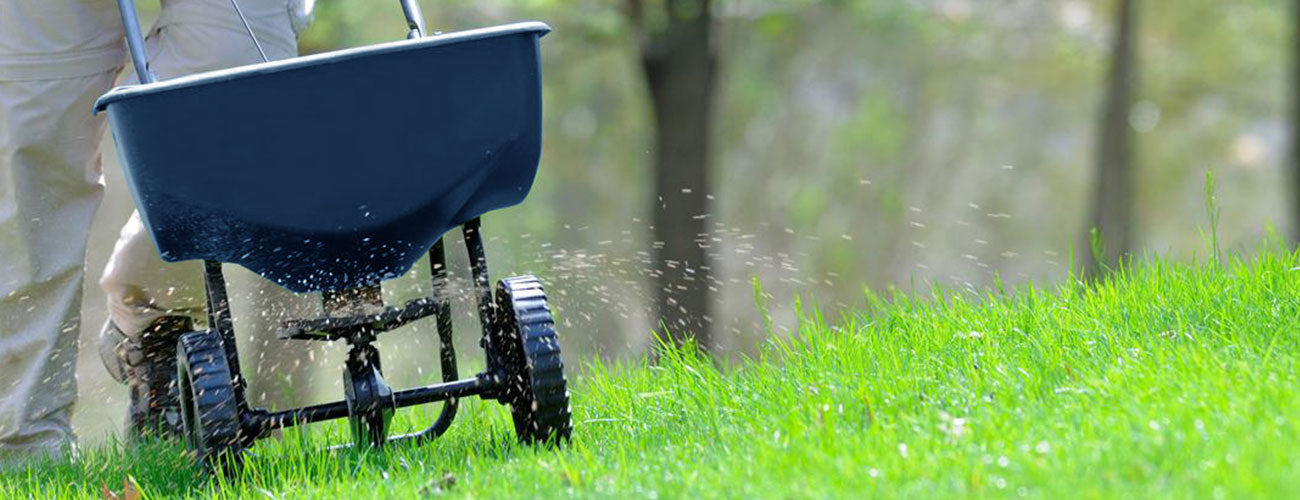 Lawn Care Tools