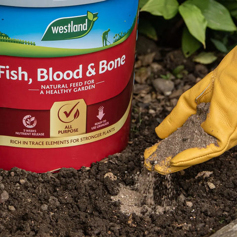 Fertilisers - Fish, Blood & Bone 8kg