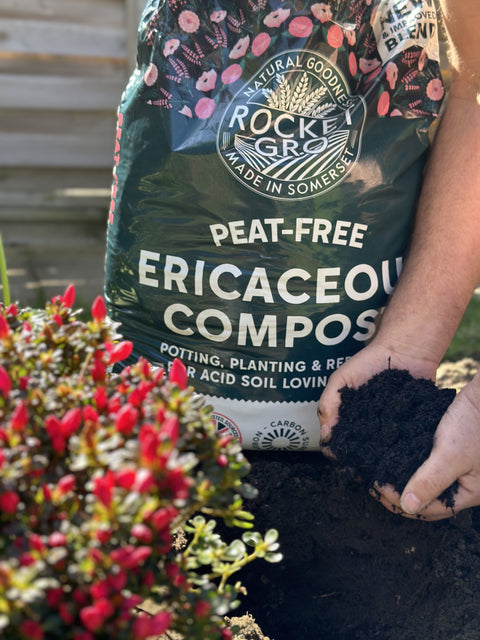 Rocket-Gro Ericaceous Compost 40l
