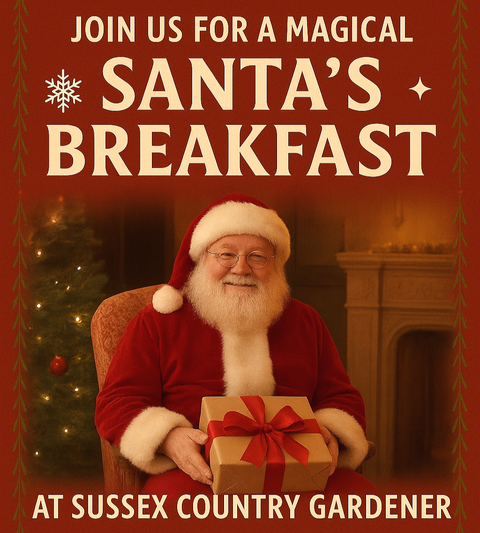 Breakfast With Santa - Adult Ticket