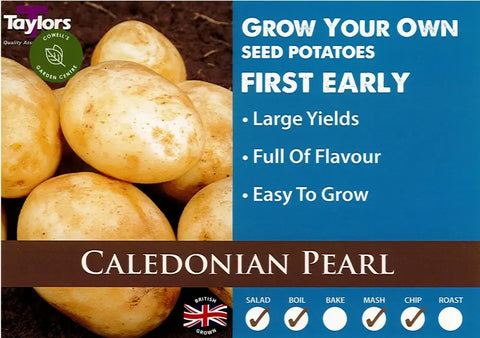 Caledonian Pearl First Early 2kg