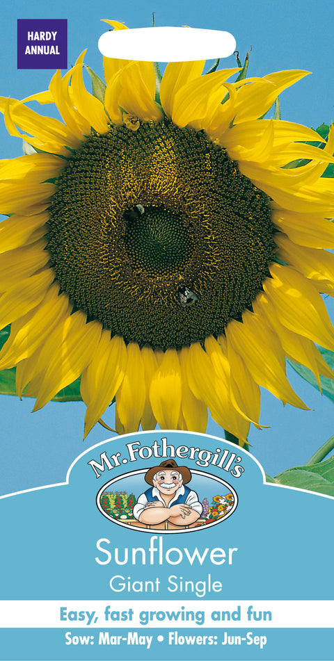 Mr Fothergills Sunflower Giant Single Seeds