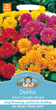 Mr Fothergills Dahlia Dwarf Double Mixed Seeds