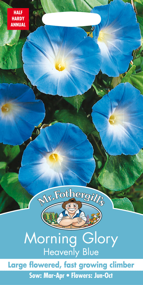 Mr Fothergills Morning Glory Heavenly Blue Seeds