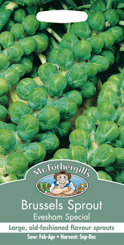 Mr Fothergills Brussels Sprout Evesham Special