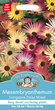 Mr Fothergills Mesembryanthemum Livingstone Daisy Mixed Seeds
