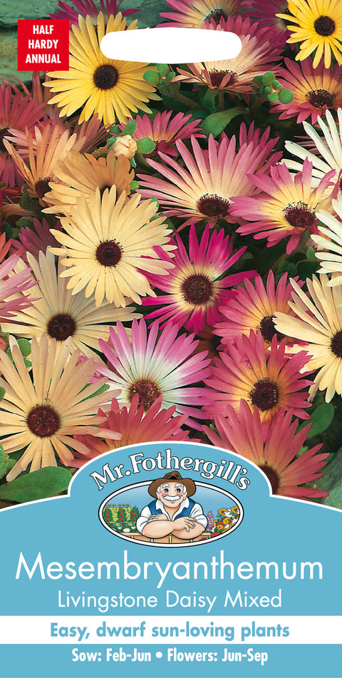 Mr Fothergills Mesembryanthemum Livingstone Daisy Mixed Seeds