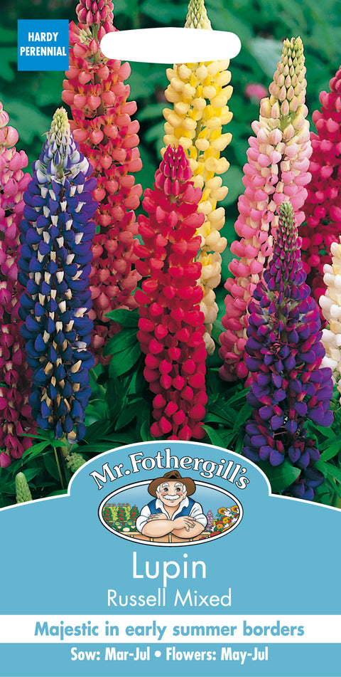 Mr Fothergills Lupin Russell Mixed Seeds