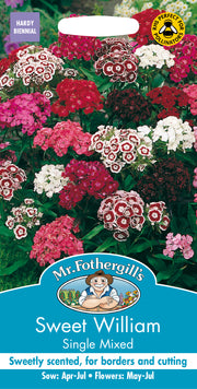 Mr Fothergills SWEET WILLIAM Single Mixed Seeds