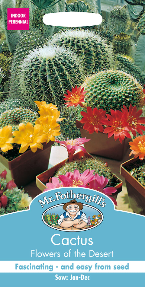 Mr Fothergills Cactus Flowers of The Desert Seeds