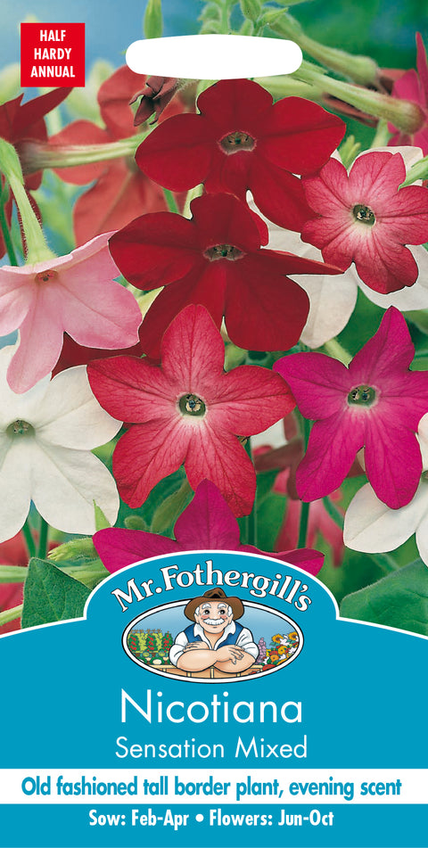 Mr Fothergills Nicotiana Sensation Mixed Seeds