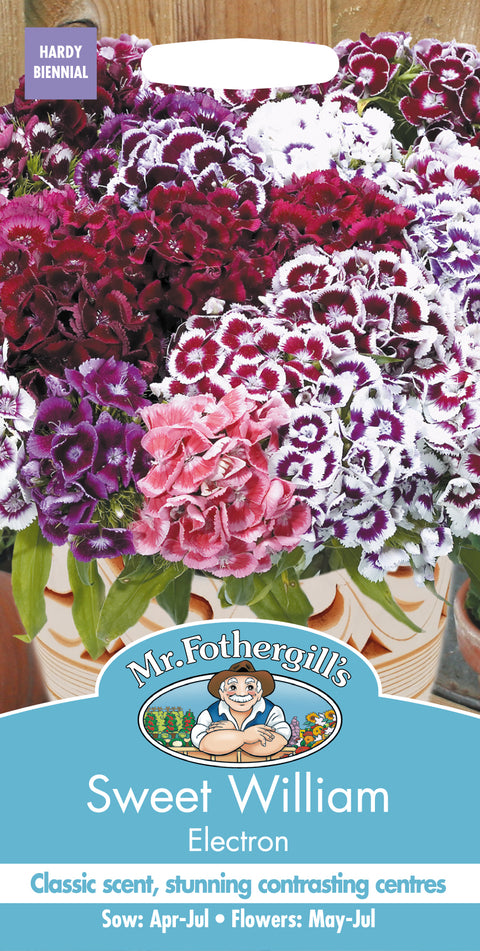 Mr Fothergills Sweet William Electron Seeds