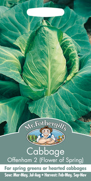 Mr Fothergills Cabbage Offenham 2 - Flower of Spring