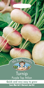 Mr Fothergills Turnip Purple Top Milan Seeds