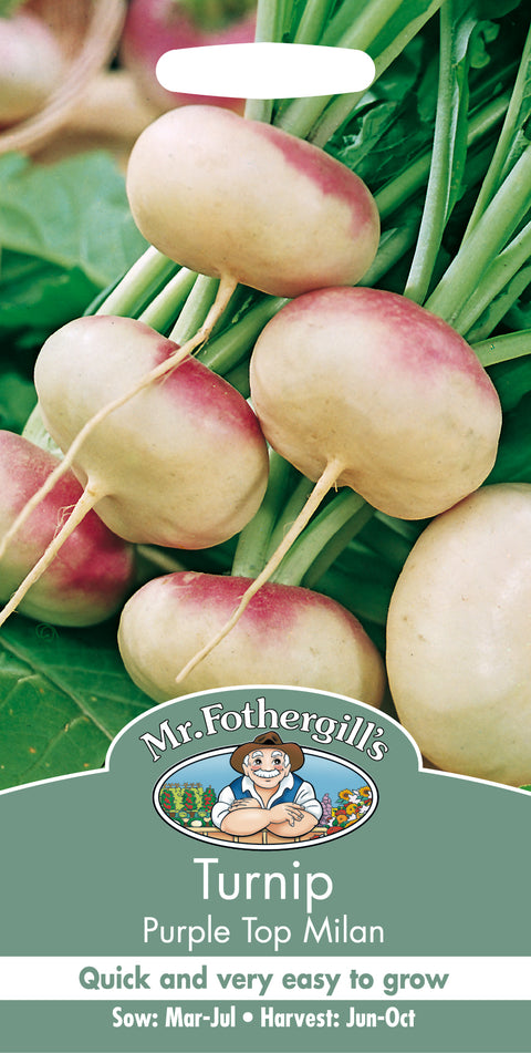 Mr Fothergills Turnip Purple Top Milan Seeds