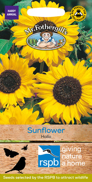 Mr Fothergills Sunflower Hallo Seeds