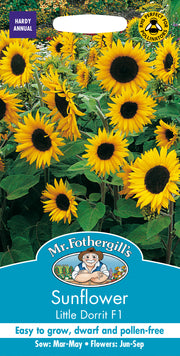 Mr Fothergills Sunflower Little Dorrit F1 Seeds