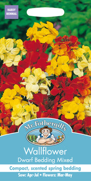 Mr Fothergills Wallflower Dwarf Bedding Mixed Seeds