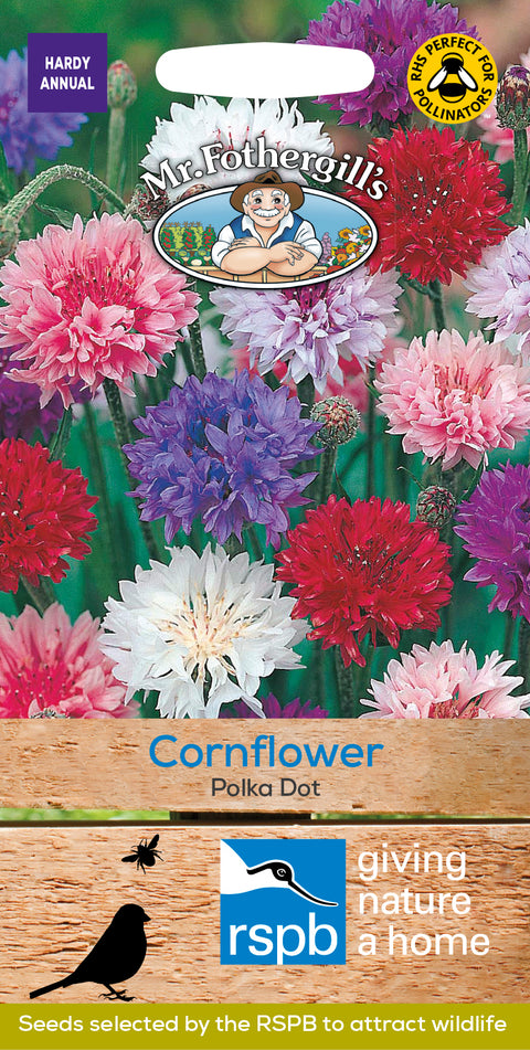 Mr Fothergills Cornflower Polka Dot Seeds