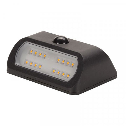 PIR Sentinel Security Light