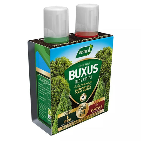 Westland 2 in 1 Feed & Protect Buxus
