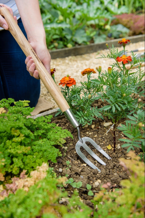 Kent & Stowe - Border Hand Fork