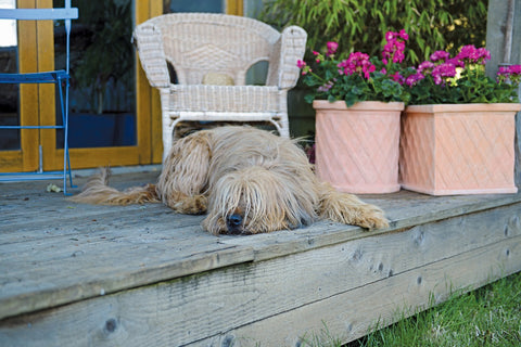 Barnet Pot Terracotta Cylinder