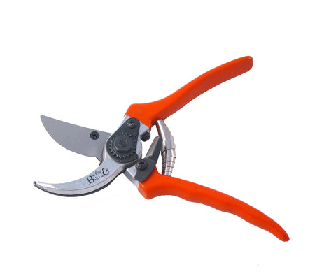 Secateurs Bypass (Spare Blade & Spring)