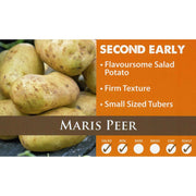 Maris Peer Second Early 2kg