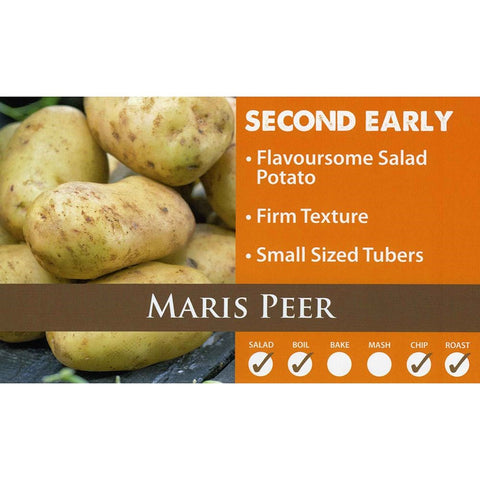 Maris Peer Second Early 2kg