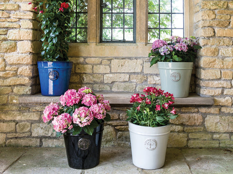 Heritage Edwardian Pot