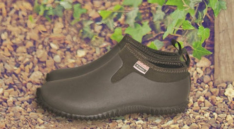 Shoe - Buckingham