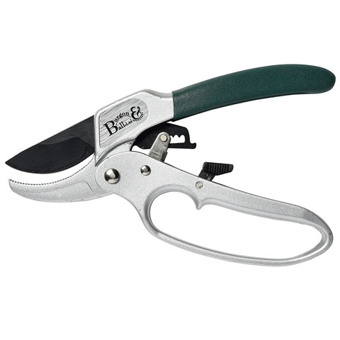 Ratchet Pruner