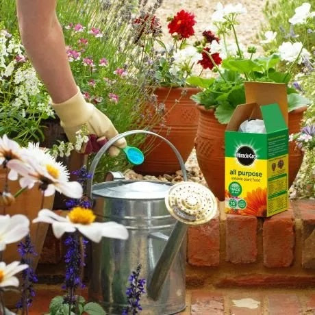 Miracle-Gro All Purpose Soluble Plant Food 2KG