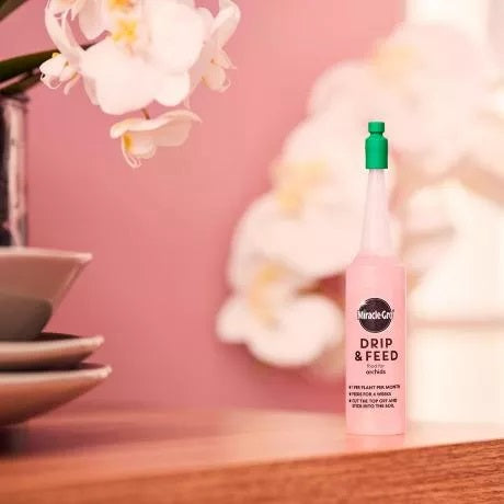 Miracle-Gro Drip & Feed Orchid 3 x 32ml