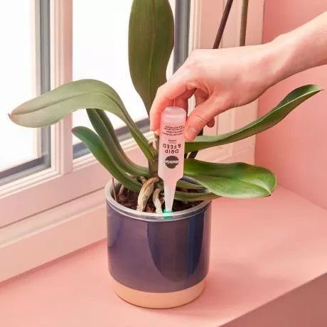 Miracle-Gro Drip & Feed Orchid 3 x 32ml